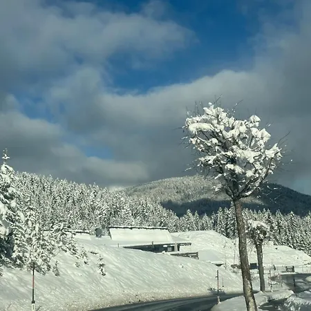 Διαμέρισμα Andys Secret Leutasch